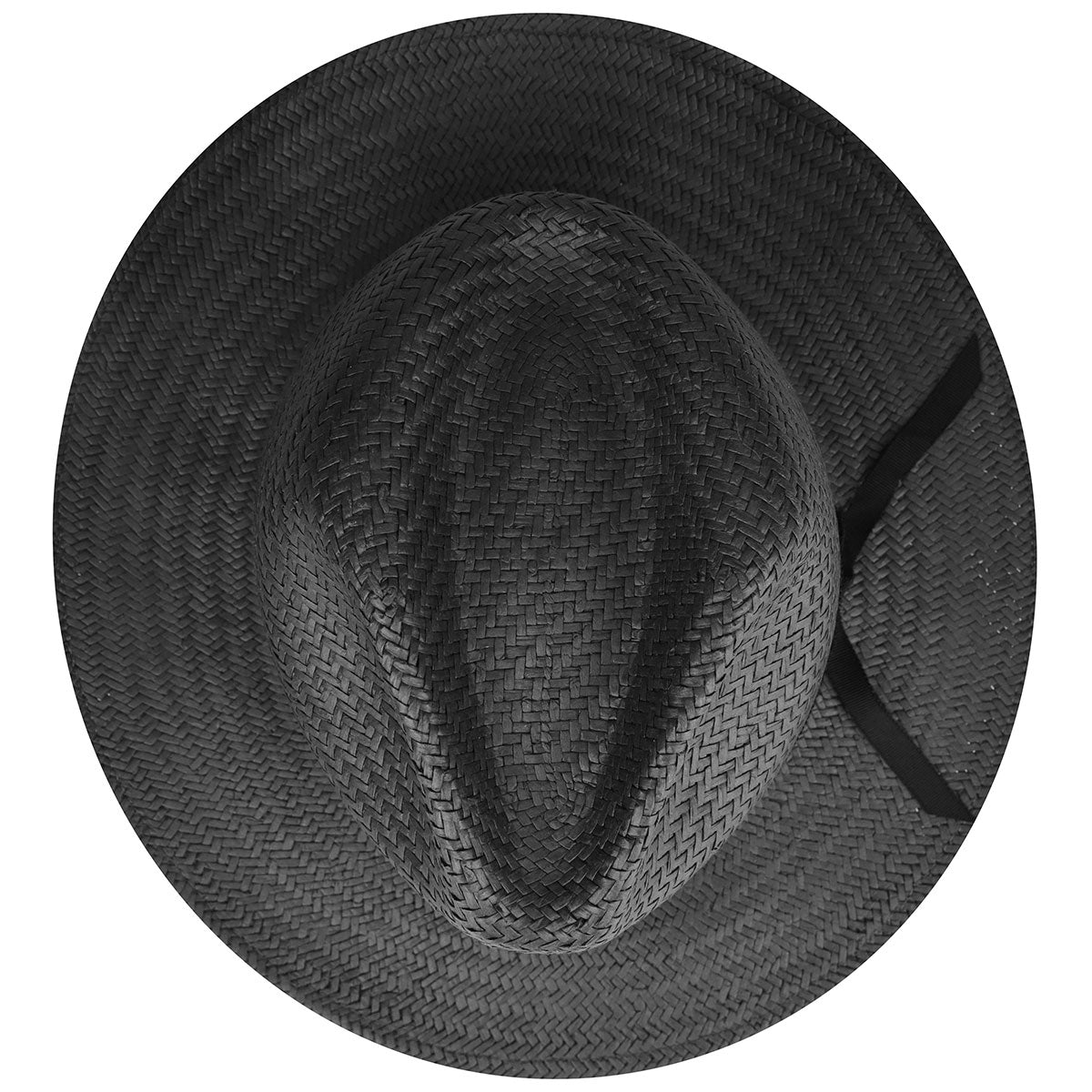 color-black