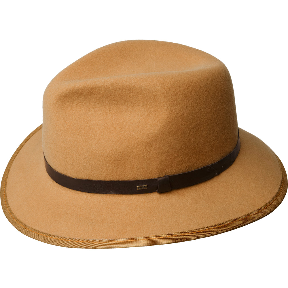 color-camel