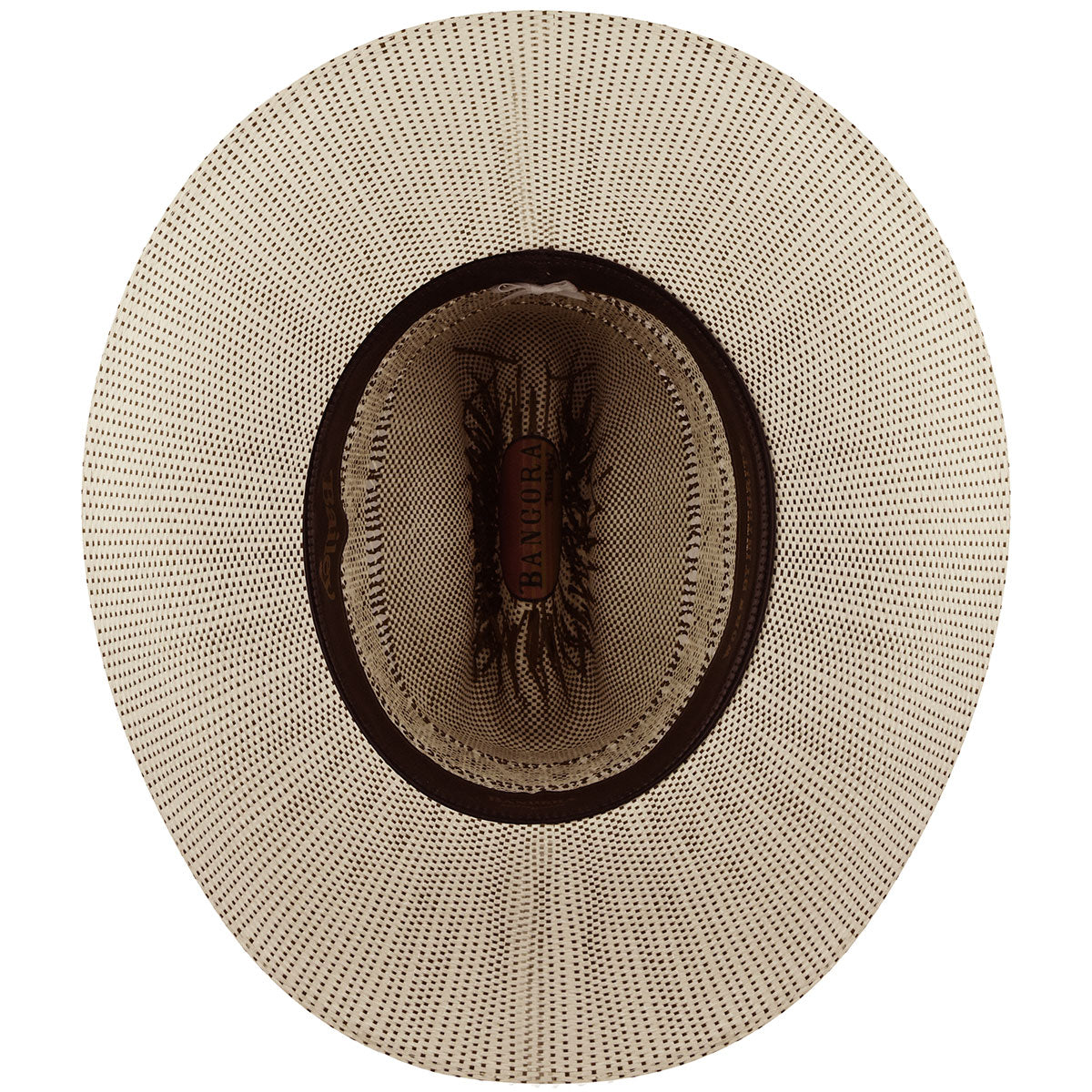 color-ivory-brown