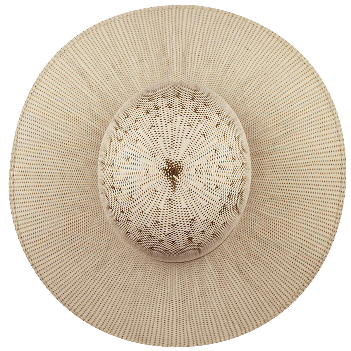 color-ivory-brown